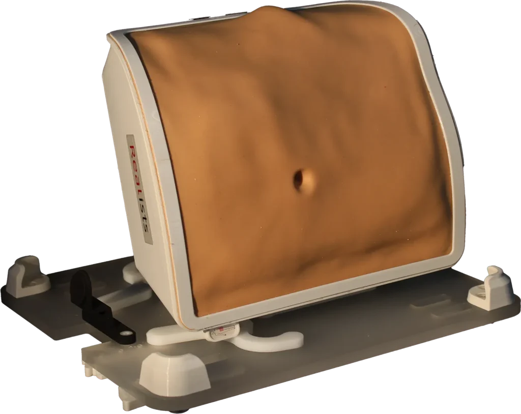 RealSpine Lumbar Anterior Lateral simulator, L3 to S1