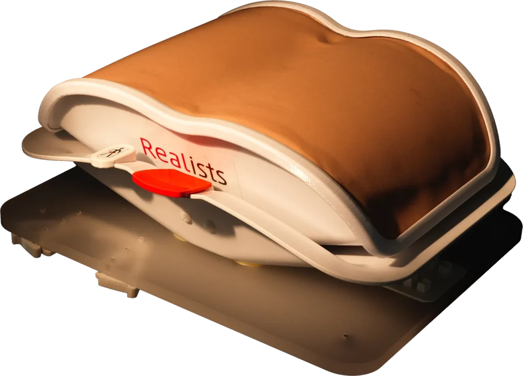 RealSpine Lumbar Posterior simulator, L2 to S1